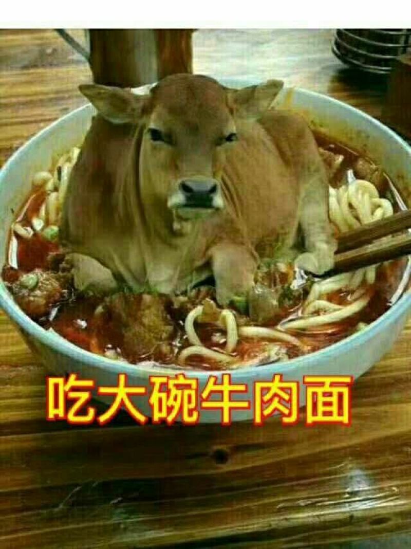 汶川茂源种植养殖，大量批鲜牦牛肉，牧场实力供货，一手货源