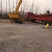 斑竹1~2m
