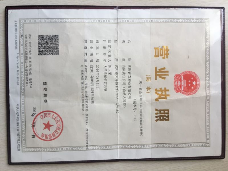 双红瓤青花一号2020年平均重40斤，西瓜种子