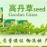 高丹草种子包发芽，五斤包邮