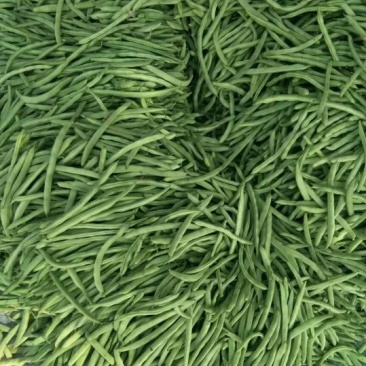 芸豆精品主产区收费透明，可视频看货。。