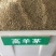 高羊茅草种净籽包发芽，包衣有售，