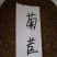 菊苣种子净籽包发芽,成活率高。包邮量大从优