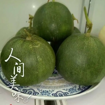 绿宝石甜瓜统货0.5斤以上