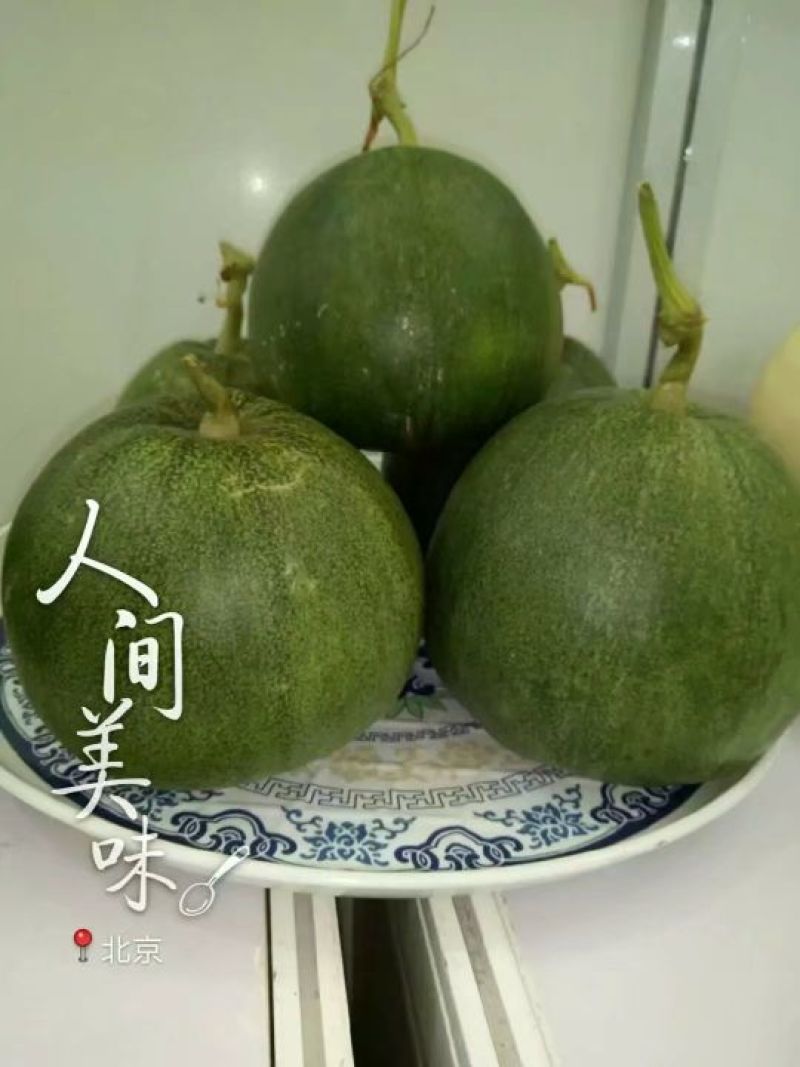 绿宝石甜瓜统货0.5斤以上