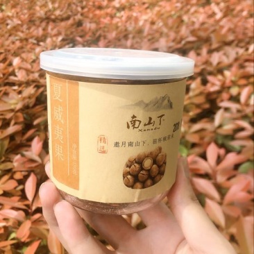 罐装夏威夷果带壳批发零售