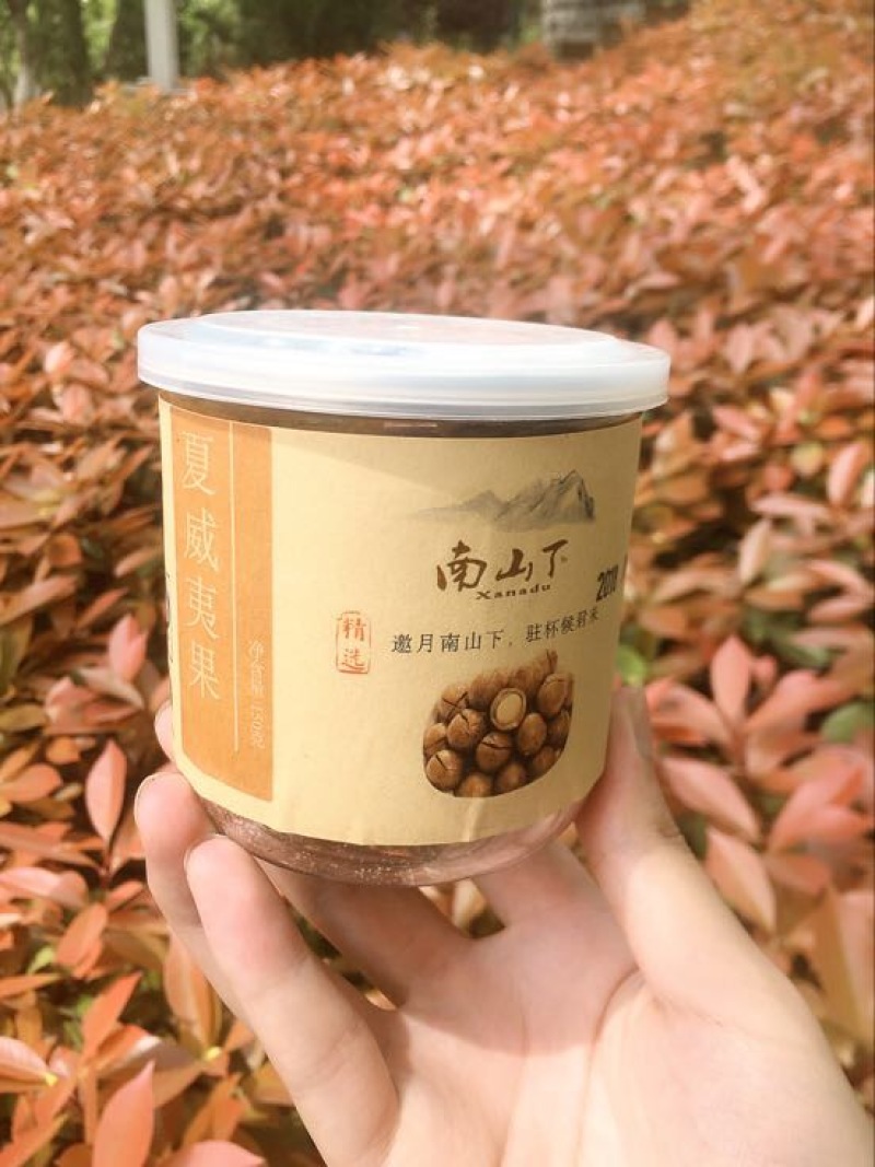 罐装夏威夷果带壳批发零售