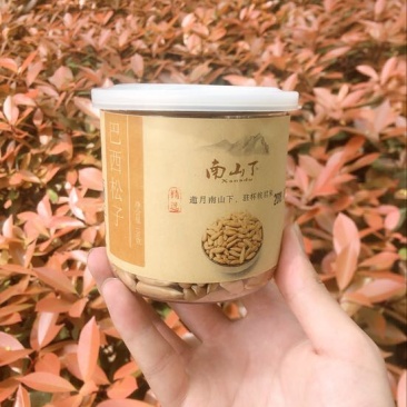 罐装巴西松子特级批发零售