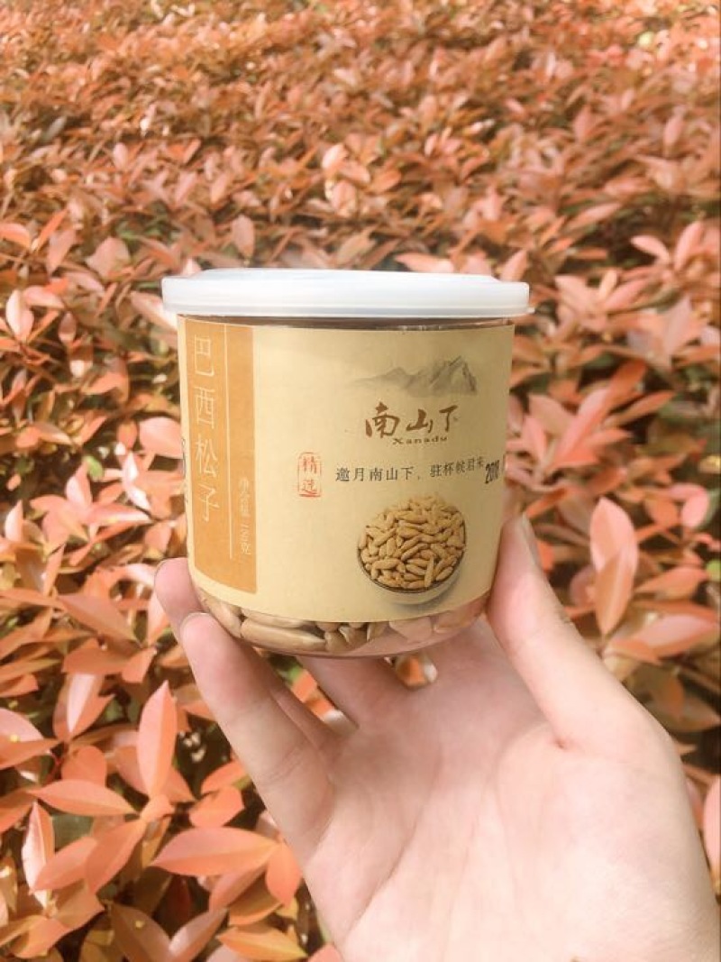 罐装巴西松子特级批发零售