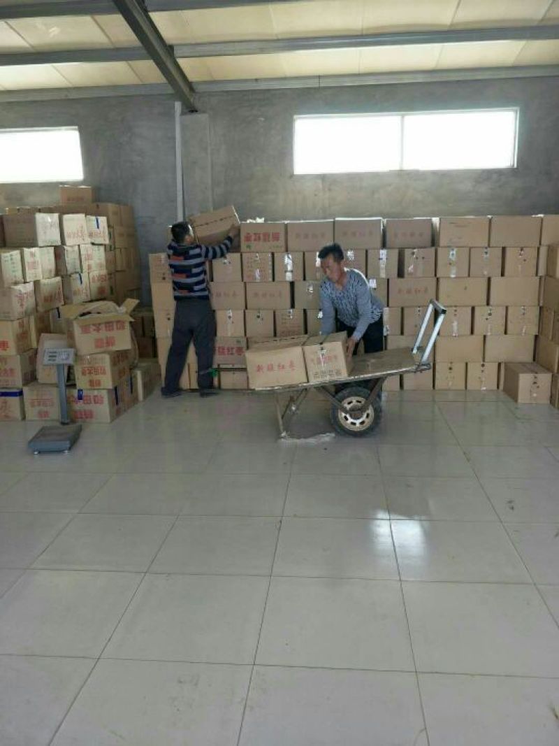 和田大枣产地厂家批发