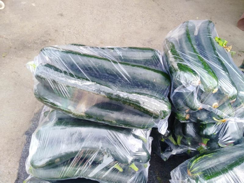 南瓜黑皮南瓜吊南瓜长南瓜产地直销一手货源南瓜