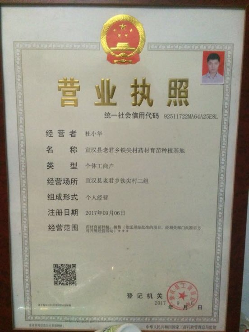 白芨种苗无条件技术跟踪服务免费补苗保价回收