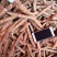 牛大力0.2~0.5斤