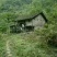 黑山羊种羊30~50斤