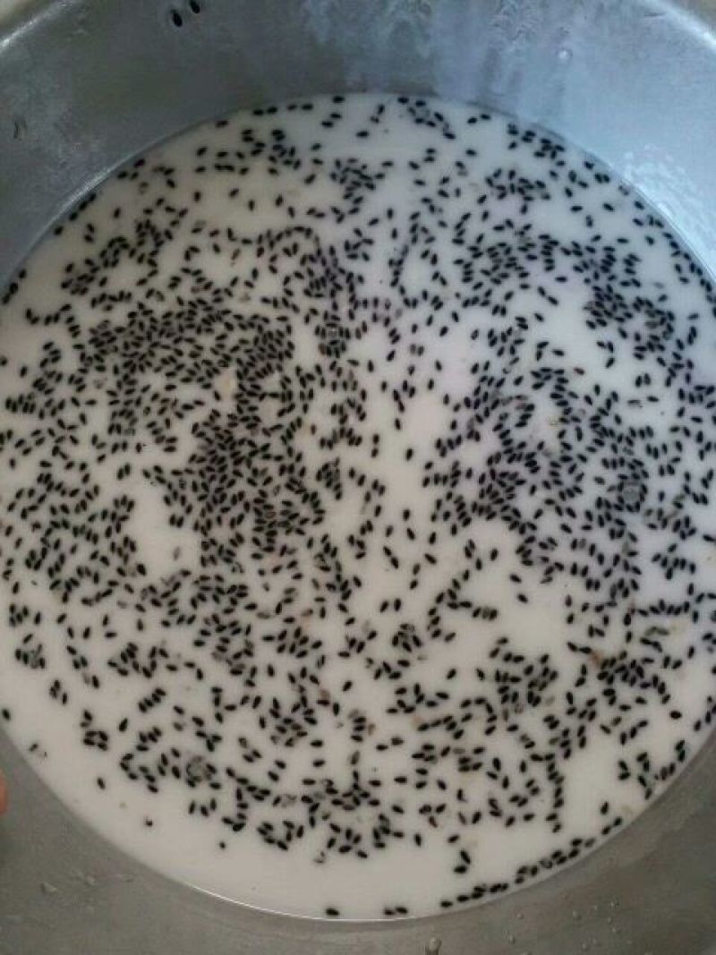 粉皮散装手工粉皮