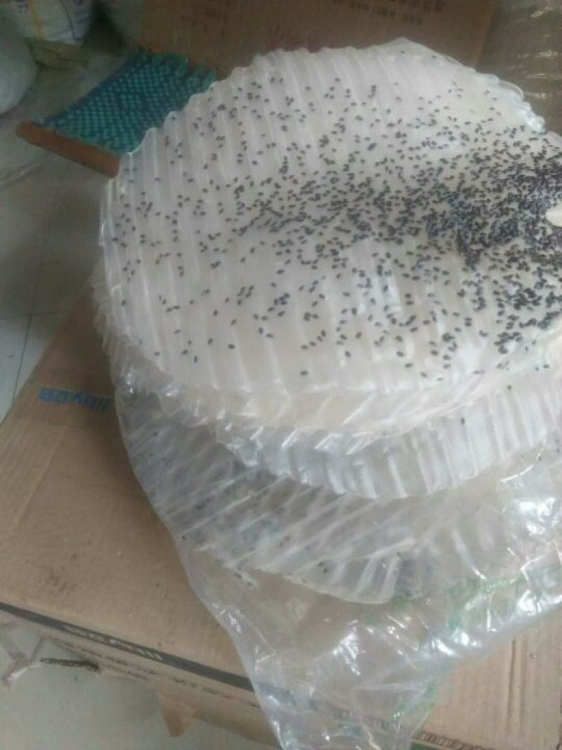 粉皮散装手工粉皮