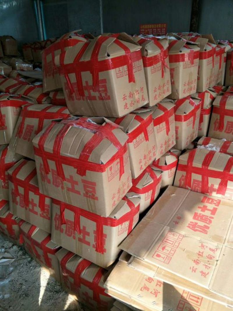 土豆3两以上精品