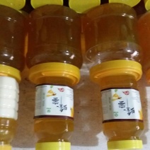 土蜂蜜2斤正宗农家土蜂蜜，丘陵地区，特色产品。