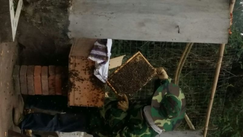 土蜂蜜2斤正宗农家土蜂蜜，丘陵地区，特色产品。