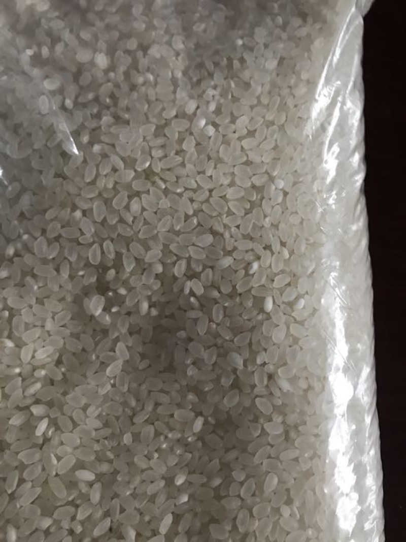 大米一级陈米