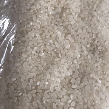 大米一级陈米