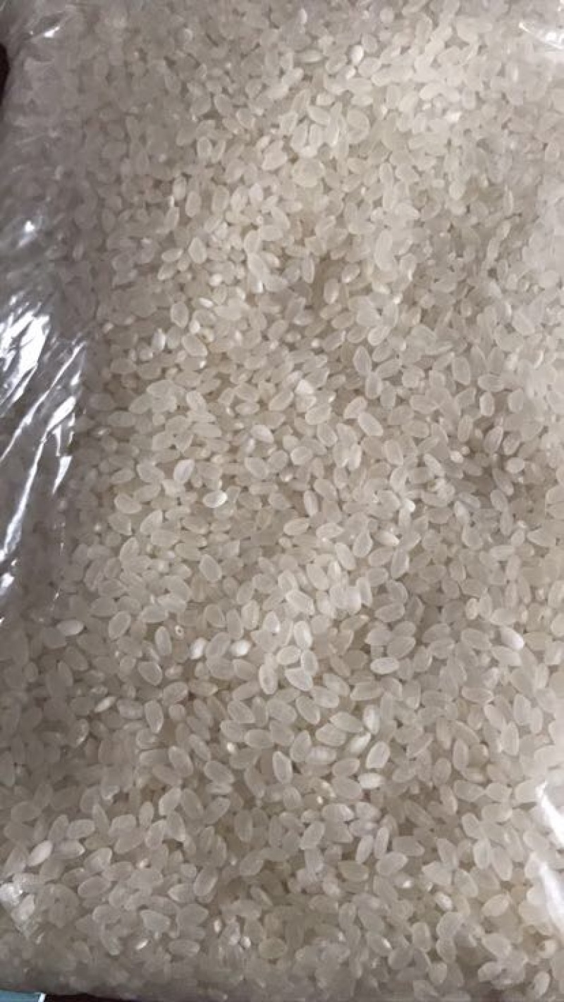 大米一级陈米