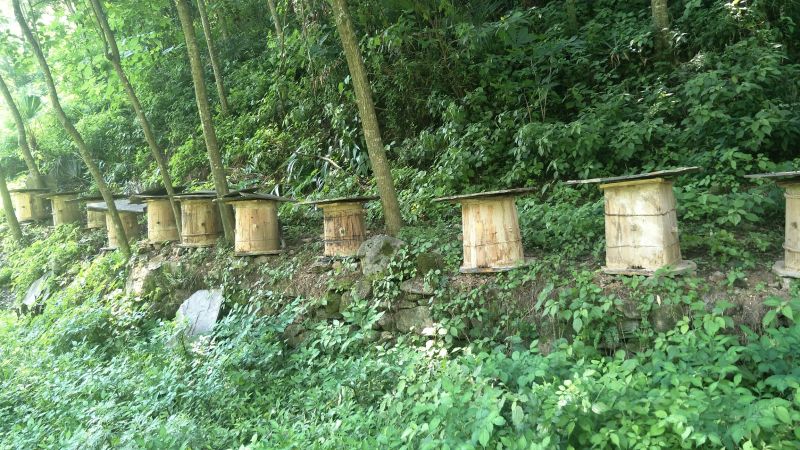 土蜂蜜1斤