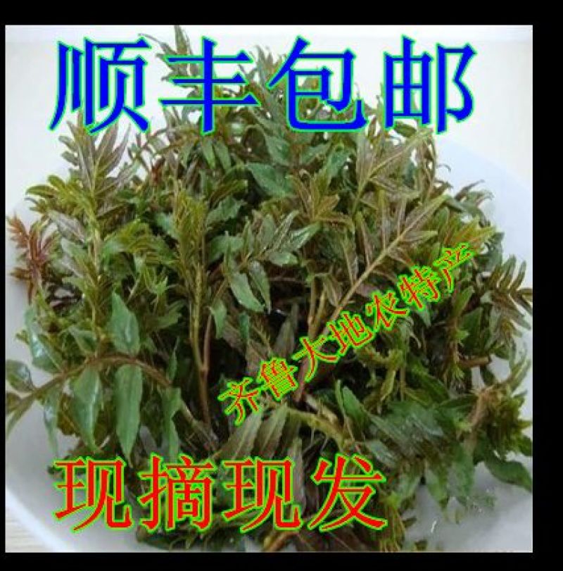 美早樱桃26~28mm
