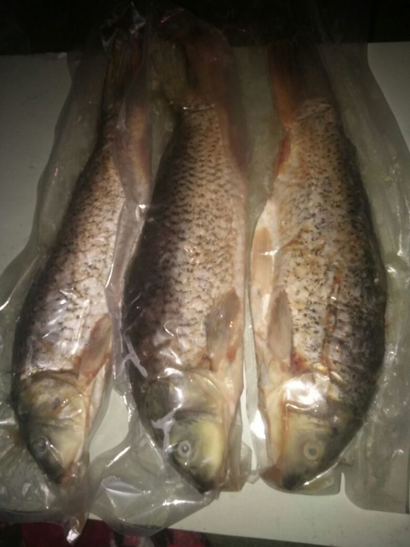 江鲤鱼食用1~2公斤