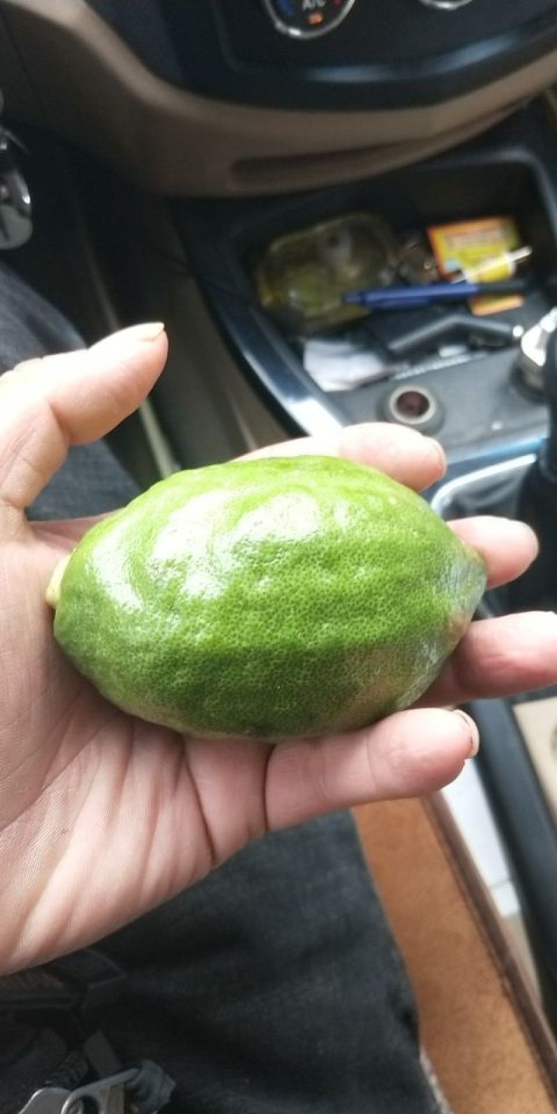 广东香水柠檬一级，二级果.可咨询