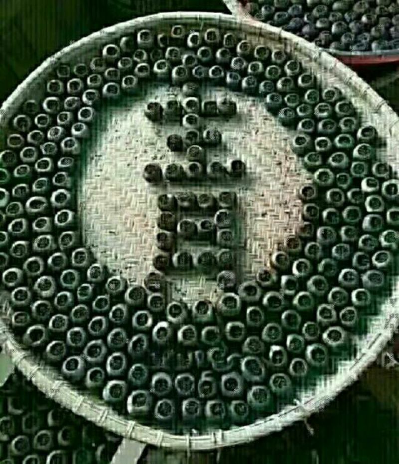 柑普茶特级