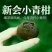 柑普茶特级