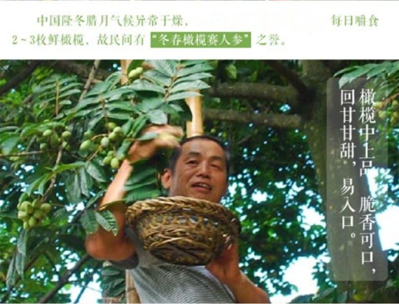 橄榄橄榄干咸橄榄煲汤食材干货批发