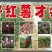 商薯19，西瓜红，徐薯32，烟薯25，济薯25等红薯苗