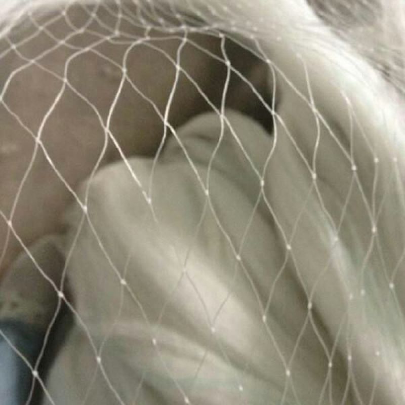 防鸟网防鸟网果园防鸟网果树防鸟网尼龙网葡萄网防护网