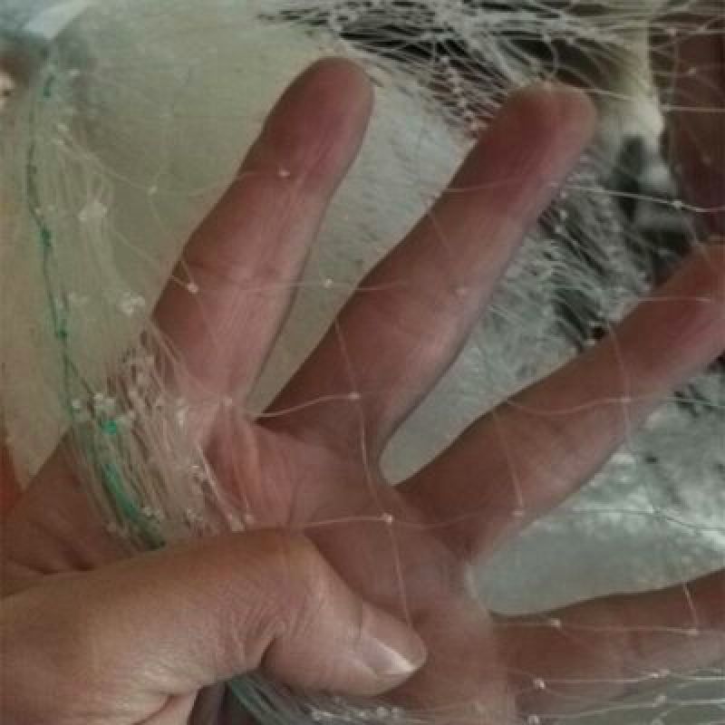 防鸟网防鸟网果园防鸟网果树防鸟网尼龙网葡萄网防护网