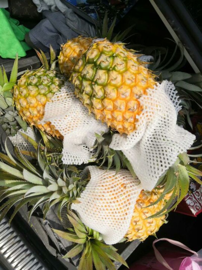 菲律宾（巴厘）菠萝特级精品菠萝