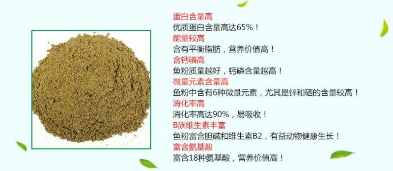 饲料原料进口鱼粉蛋白68蛋白
