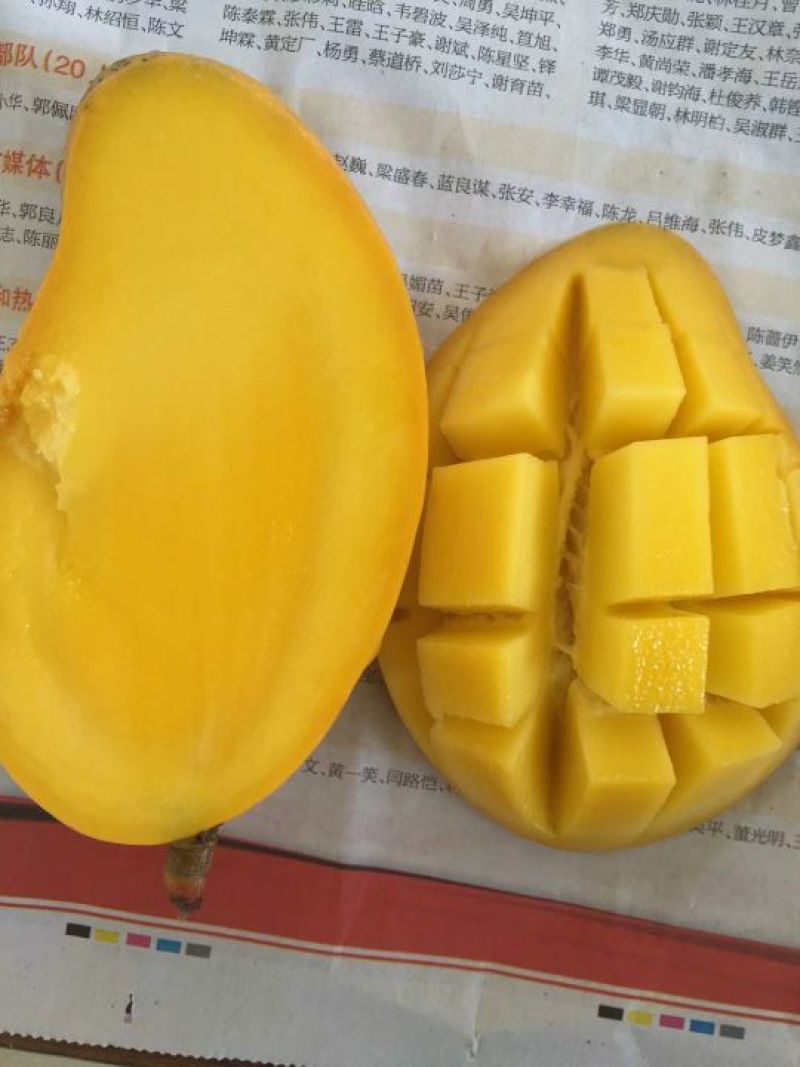 【整件60斤包邮】广西百色水仙芒金煌芒甜品店果切专用