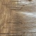 榆树10~12cm8~10cm4m以上