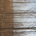 泡桐12~14cm8~10cm4米以上