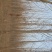 泡桐12~14cm8~10cm4米以上