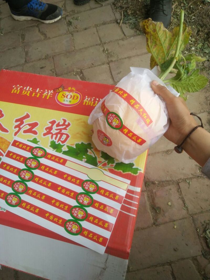久红瑞，带纹不带纹都有，诚信代发，电商批发商，保证质量