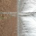 法桐12~14cm10~12cm4米以上1~2米