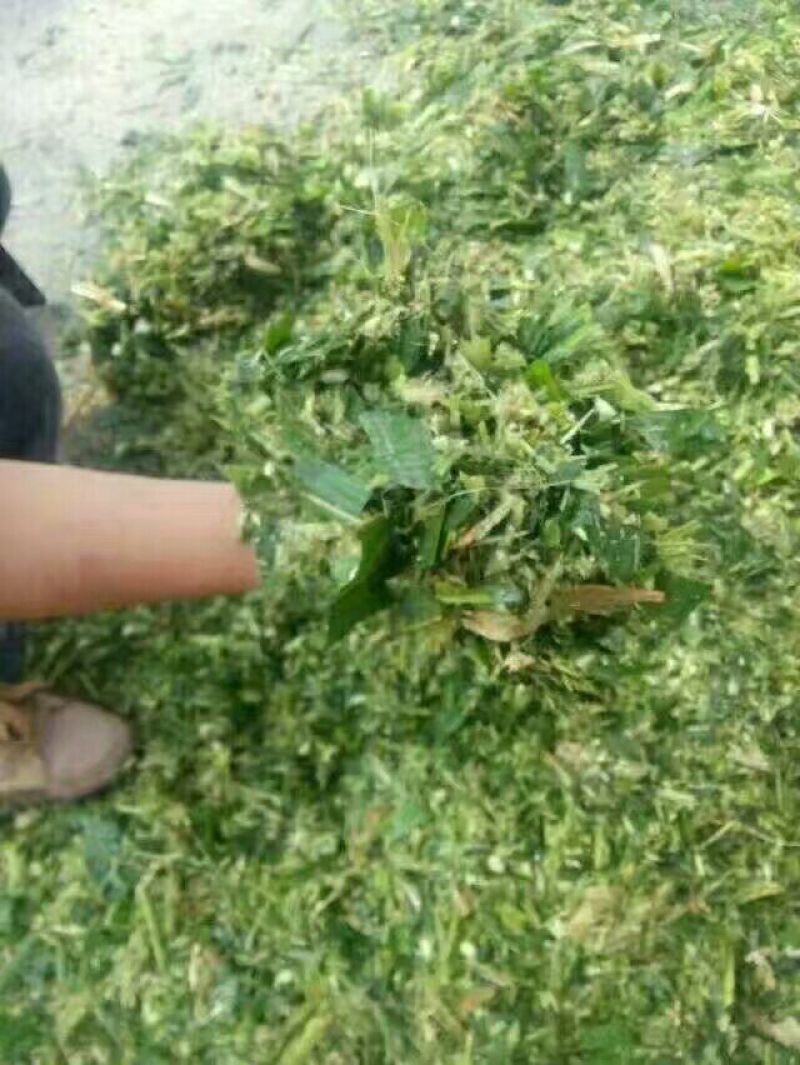 青储机全自动秸秆切碎回收青储机操作简单
