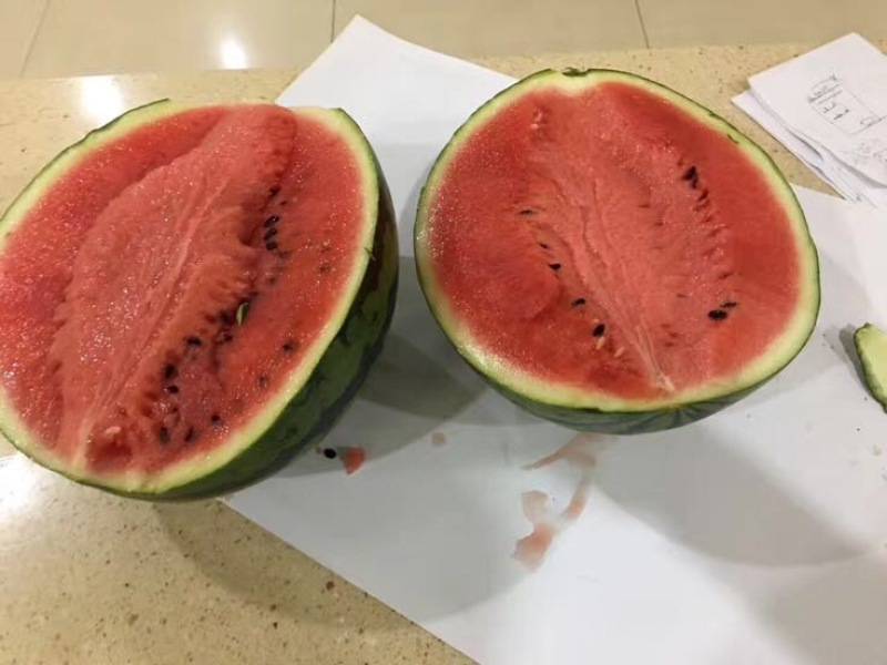 甜王西瓜种子