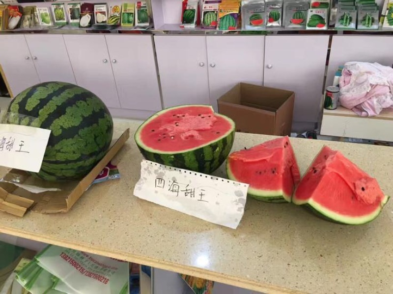 甜王西瓜种子