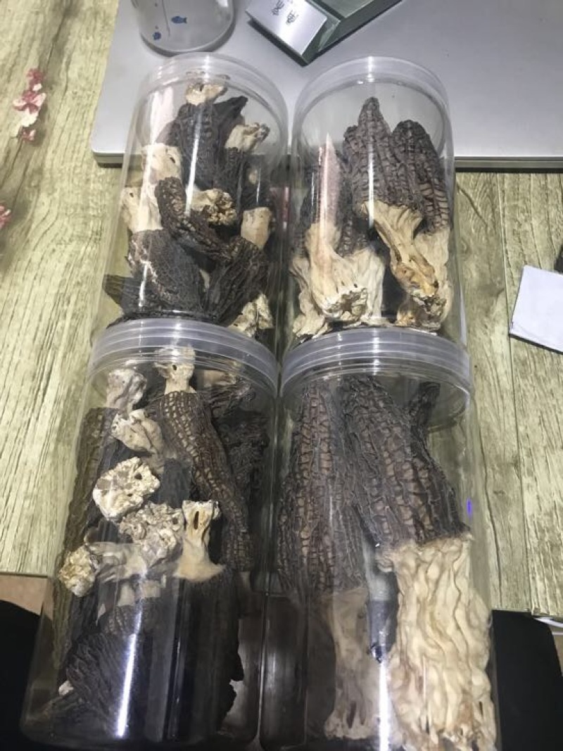 羊肚菌特级