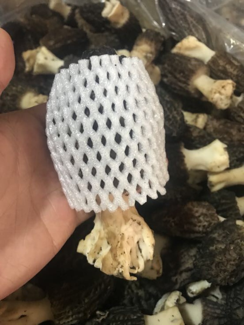 羊肚菌特级