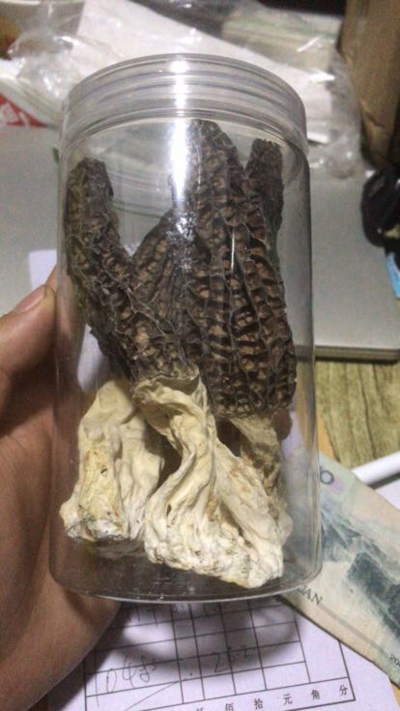 羊肚菌特级